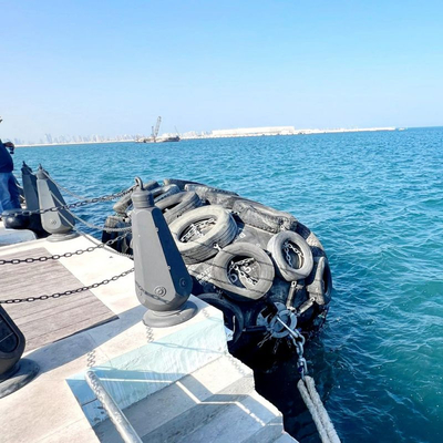 گلگیر پنوماتیکی -40 درجه سانتیگراد تا 80 درجه سانتیگراد 80 کیلو پاسکال با بسته بندی پالت